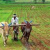 Agricultural Land for Sale Near Bhimavaram – Clear Title